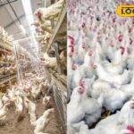 HYP_5714544_cropped_20012026_092235_images_20260120t090933220__2-3x2-1