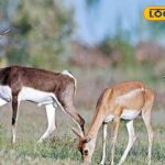 HYP_5714664_cropped_20012026_102507_images_9_20260120t10193931_2-3x2-1