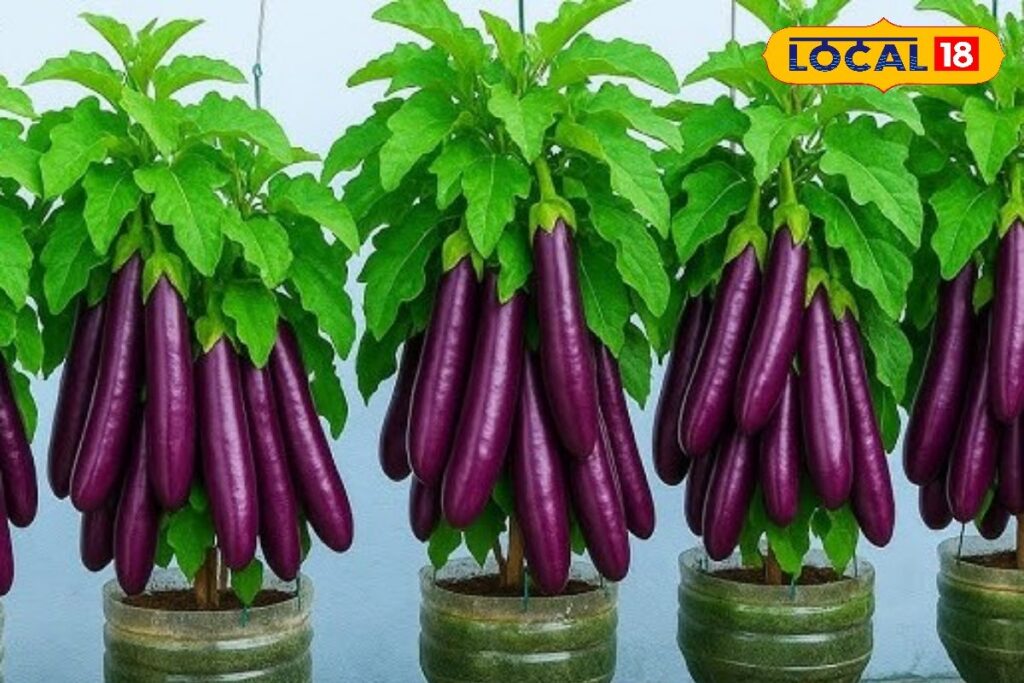 HYP_5714829_cropped_20012026_115155_hq720_1_watermark_20012026_1-3x2-1