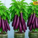 HYP_5714829_cropped_20012026_115155_hq720_1_watermark_20012026_1-3x2-1