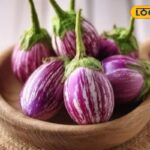 HYP_5715560_cropped_20012026_161715_img_20260120_160739_waterm_1-3x2-1