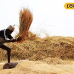 HYP_5715724_cropped_20012026_165826_image_search_1768903392652_2-3x2-1