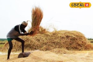 HYP_5715724_cropped_20012026_165826_image_search_1768903392652_2-3x2-1