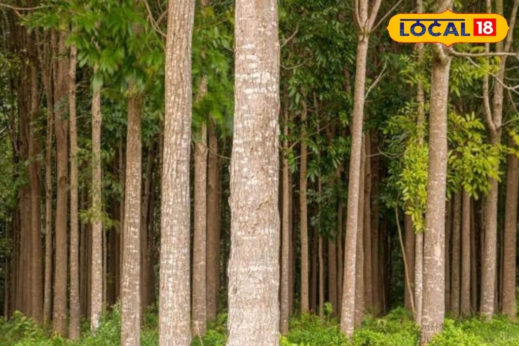 HYP_5715914_cropped_20012026_180200_image_search_1768910758459_2-3x2-1