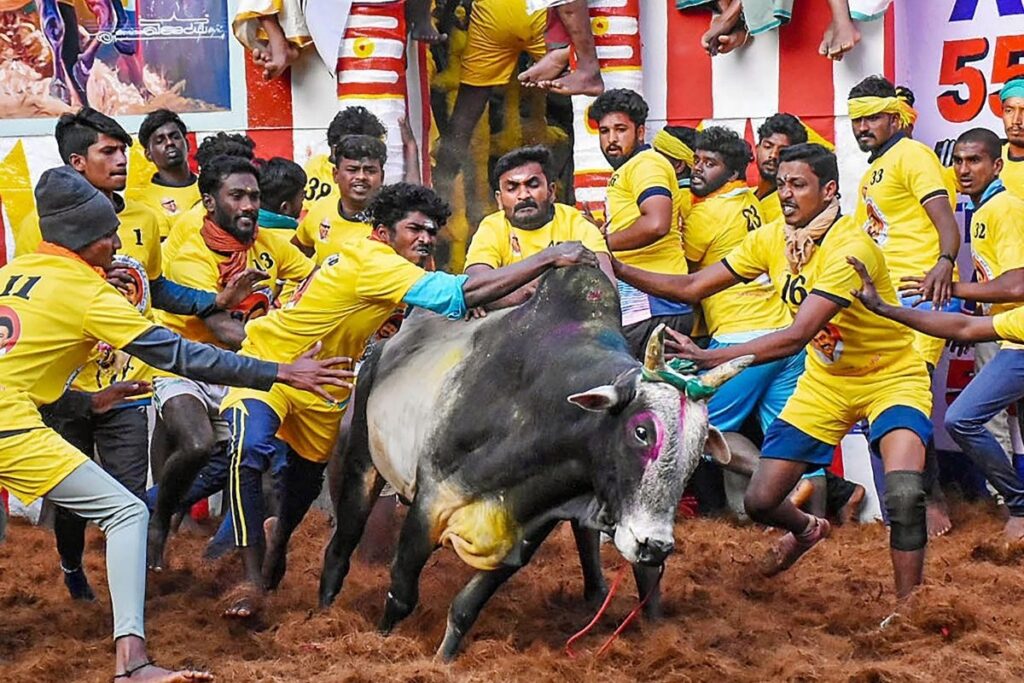 Jallikattu-2026-01-043f4bdbe1384d59ff73a7a77ff5e066-3x2-1