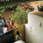 Lemon-fight-2026-01-9048b8bff84ed1e1ac33adade6f7e2a3-3x2-1