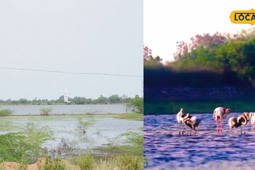 Local18-News18-Tamil-Nadu-17-2026-01-ffc30267956226106c381ce2936ca364-3x2-1