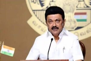 Stalin-1-2025-12-96fe0a4eda1d1d297646ca02da2153b5-3x2-1