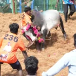 g-89spvw0aaphhe-tile-1768818821