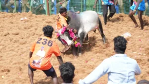 g-89spvw0aaphhe-tile-1768818821