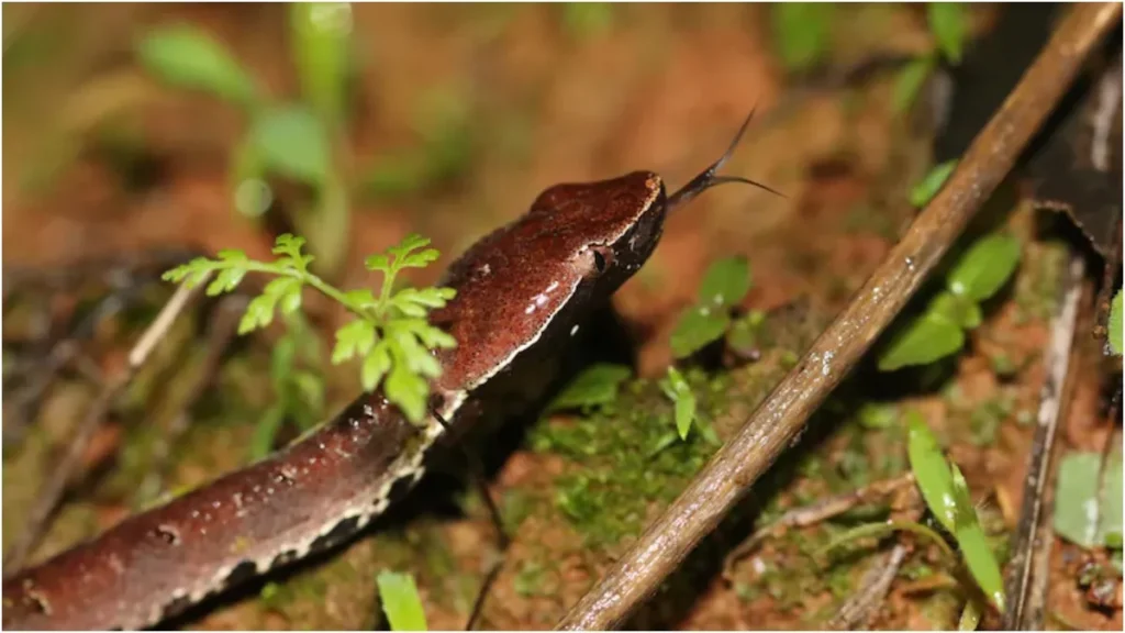 image1-2026-01-01t144037-290-1767258716