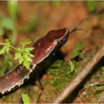 image1-2026-01-01t144037-290-1767258716