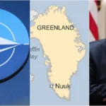 image1-2026-01-08t094114-422-1767845500