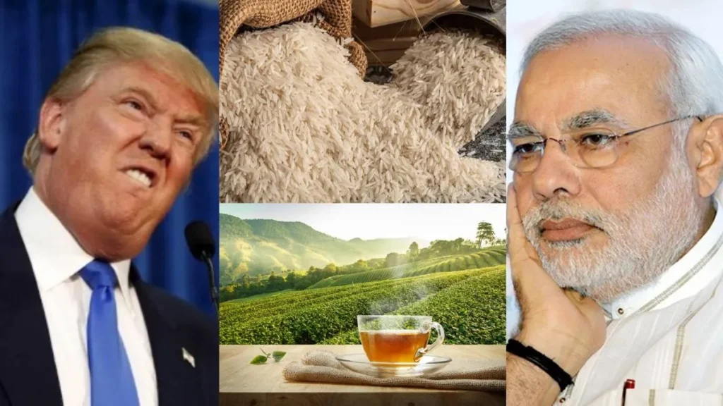 iran-basmati-tea-jpg-1768370745161_1768370746634-1200x675-1