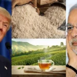 iran-basmati-tea-jpg-1768370745161_1768370746634-1200x675-1