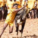 jallikattu-image-6-2026-01-d01b418ed738844cd6afc1ec86ceeddb-3x2-1