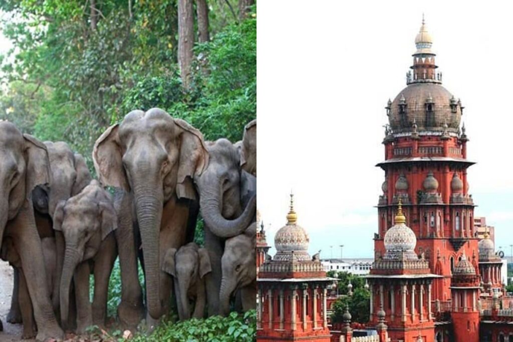 madras-high-court-2026-01-0375e22132117b0c7a927596670dccc8-3x2-1