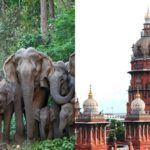 madras-high-court-2026-01-0375e22132117b0c7a927596670dccc8-3x2-1