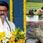 mkstldese-1768453917