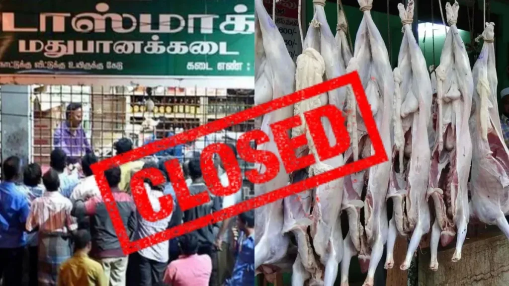 newproject12-1768490262