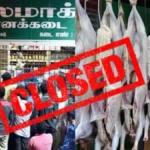 newproject12-1768490262