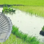 newproject15-1768907213