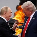 newproject17-1768237561