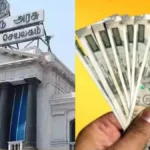 newproject2-1767409539