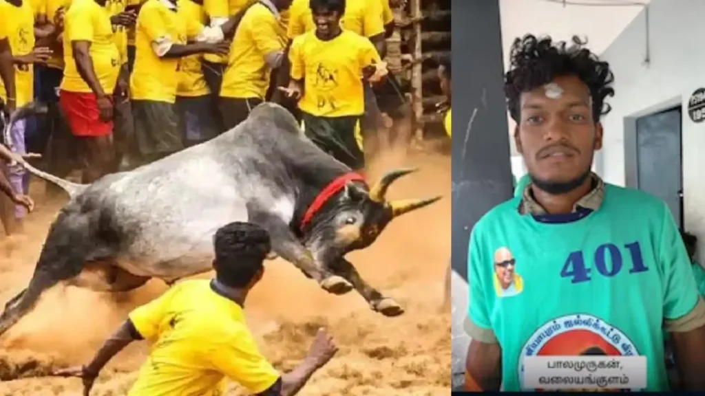 newproject7-1768483352