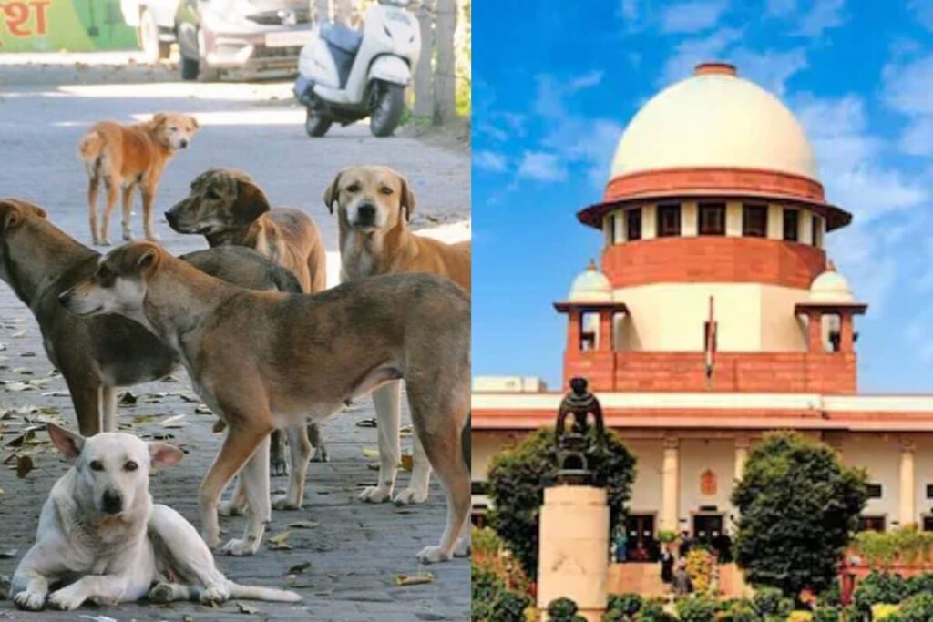 sc-2-2026-01-8ee317e6efa70dff5d4dd5250b380b0a-3x2-1