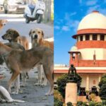 sc-2-2026-01-8ee317e6efa70dff5d4dd5250b380b0a-3x2-1