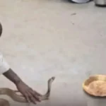 snack17-jpg-1768742051591_1768741936674-1200x675-1