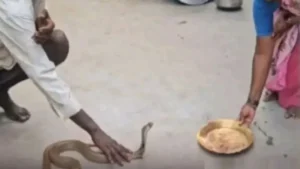 snack17-jpg-1768742051591_1768741936674-1200x675-1