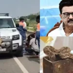 snakedsea-1768300463