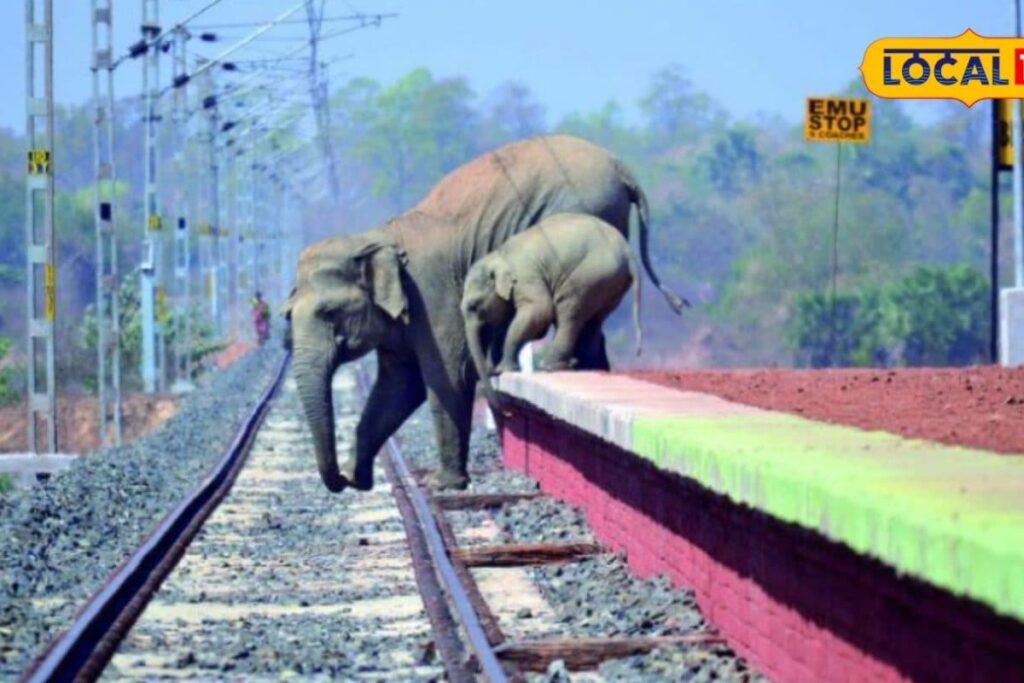 AI-technology-to-save-elephants-2026-02-5cc9a8e9e42525a8a2a453ec789a3499-3x2-1