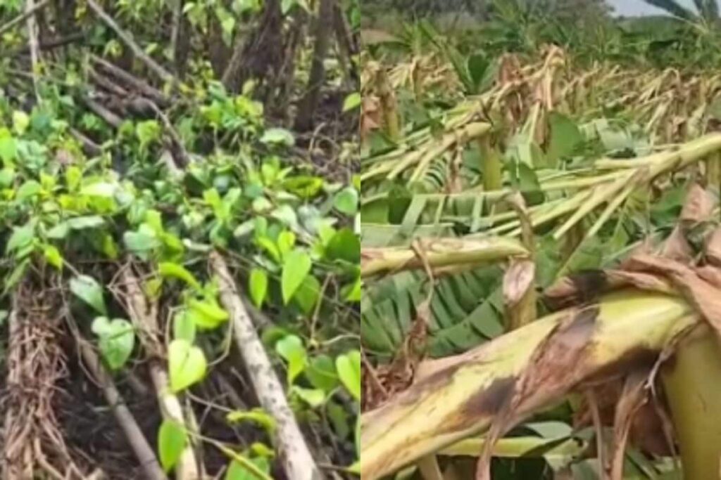 DAMAGE-2026-02-5ccb18ed9d8a3e5a3a9a797d0e981333-1200x800-1