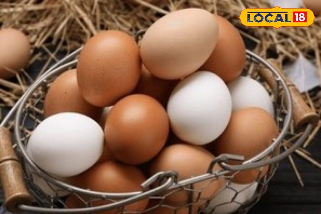 HYP_5741544_cropped_03022026_020213_freshchickeneggsdriedstraw_1-3x2-1