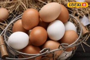 HYP_5741544_cropped_03022026_020213_freshchickeneggsdriedstraw_1-3x2-1