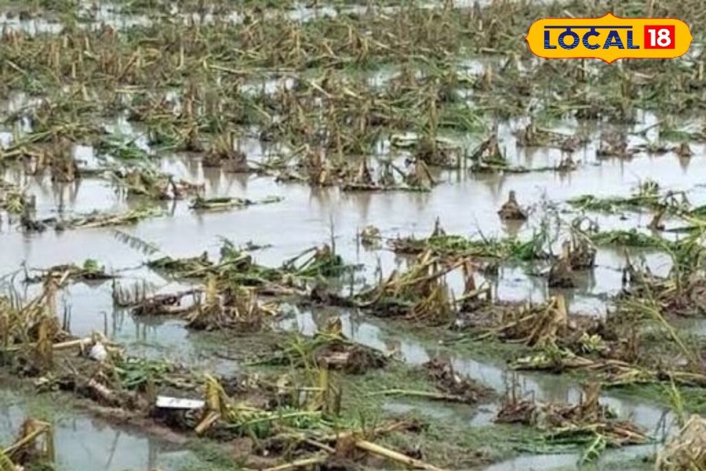 HYP_5742093_cropped_03022026_121436_images_11_watermark_030220_2-3x2-1