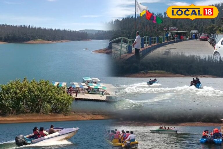 HYP_5743119_cropped_03022026_184521_inshot_20260203_184404614__2-3x2-1