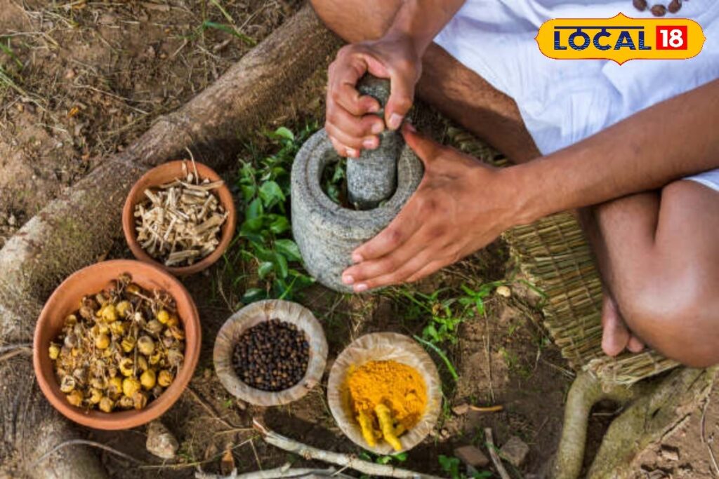 HYP_5743493_cropped_03022026_234836_11621864468_watermark_0302_1-3x2-1