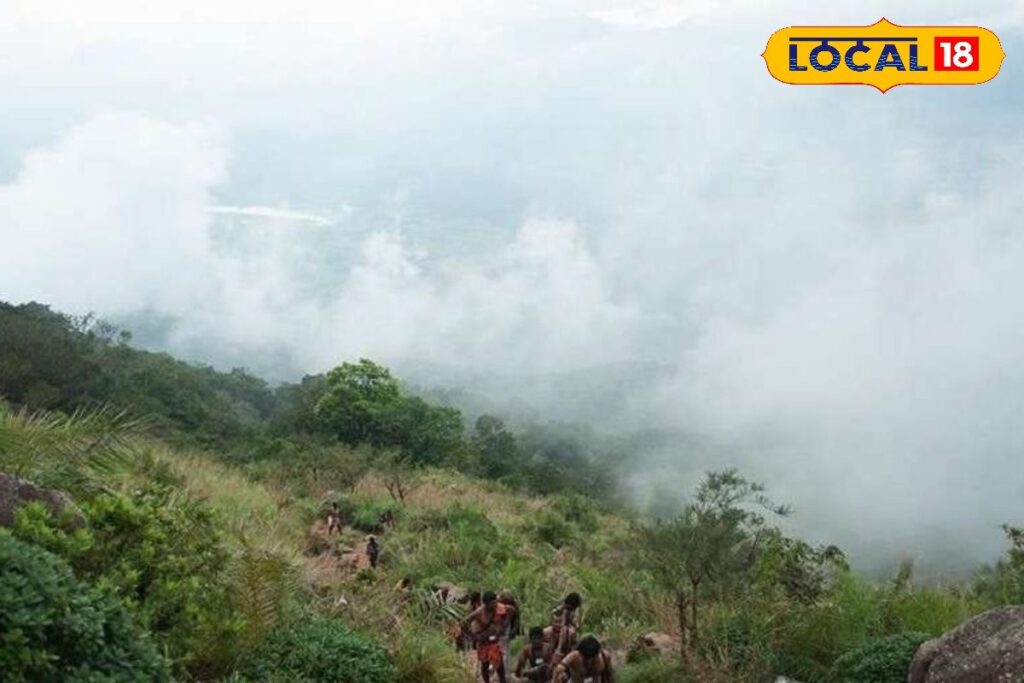 HYP_5745412_cropped_05022026_005227_16334059701633405969486_wa_2-3x2-1