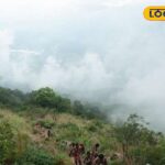 HYP_5745412_cropped_05022026_005227_16334059701633405969486_wa_2-3x2-1