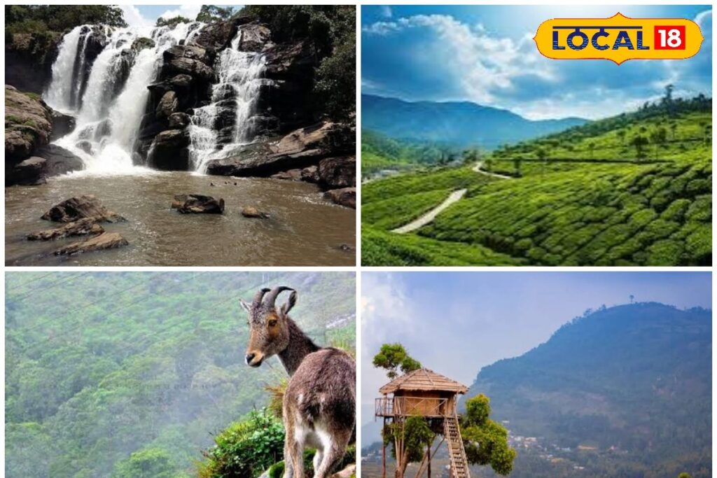 HYP_5745749_cropped_05022026_103523_inshot_20260205_103038595__2-3x2-1