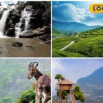 HYP_5745749_cropped_05022026_103523_inshot_20260205_103038595__2-3x2-1