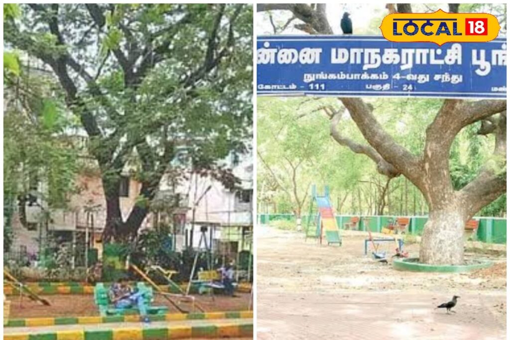 HYP_5745775_cropped_05022026_104732_inshot_20260205_104724333__2-3x2-1