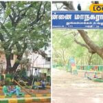 HYP_5745775_cropped_05022026_104732_inshot_20260205_104724333__2-3x2-1