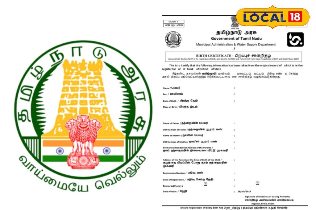 HYP_5745994_cropped_05022026_122608_inshot_20260205_122556560__1-3x2-1