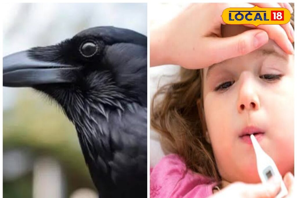 HYP_5746119_cropped_05022026_131723_inshot_20260205_131701887__2-3x2-1