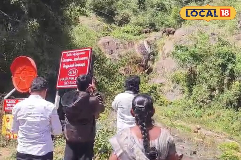 HYP_5747315_cropped_05022026_235920_videoshot_20260205_235904__2-3x2-1